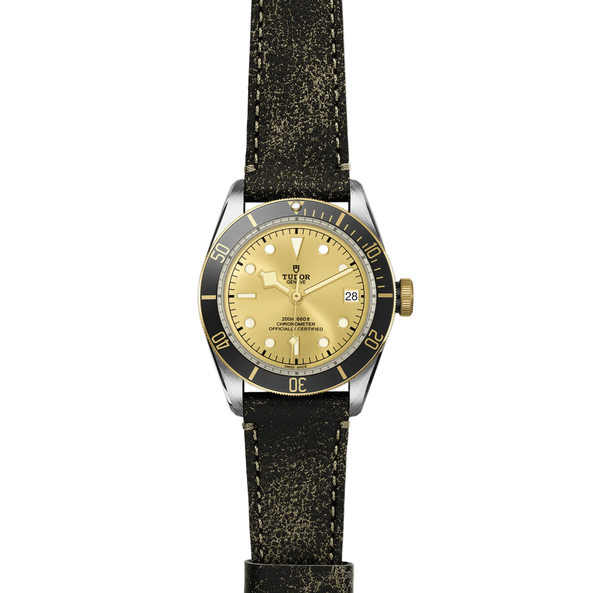 full view of Tudor Black Bay watch showing the full leather strap and robust case profile
