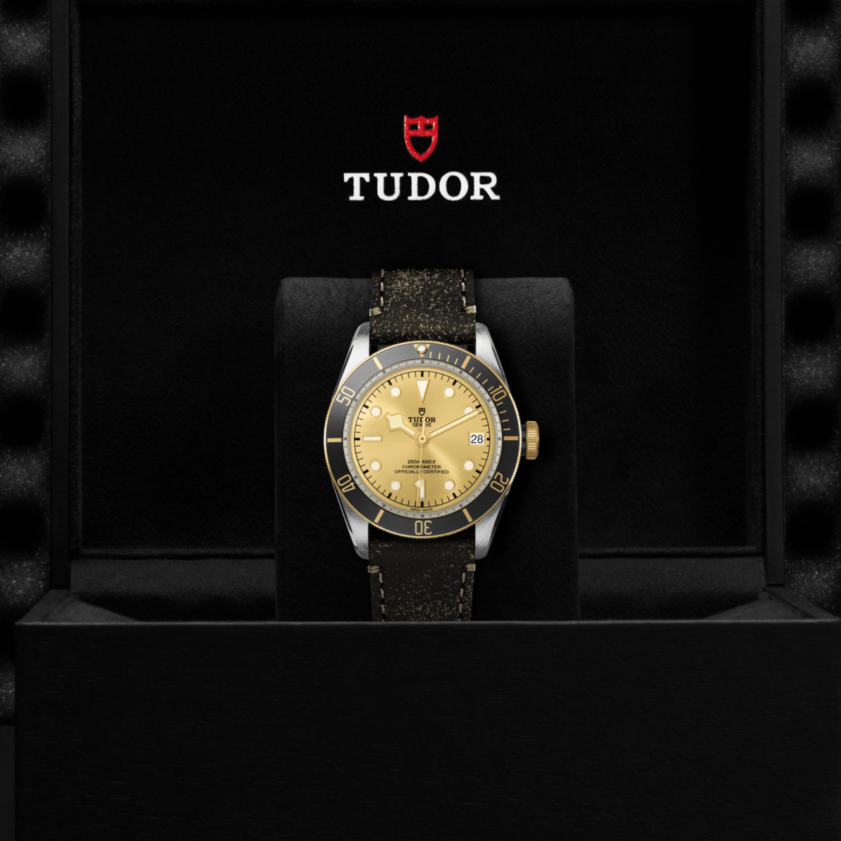 Tudor Black Bay watch displayed in its presentation box showcasing the premium packaging and interior finish