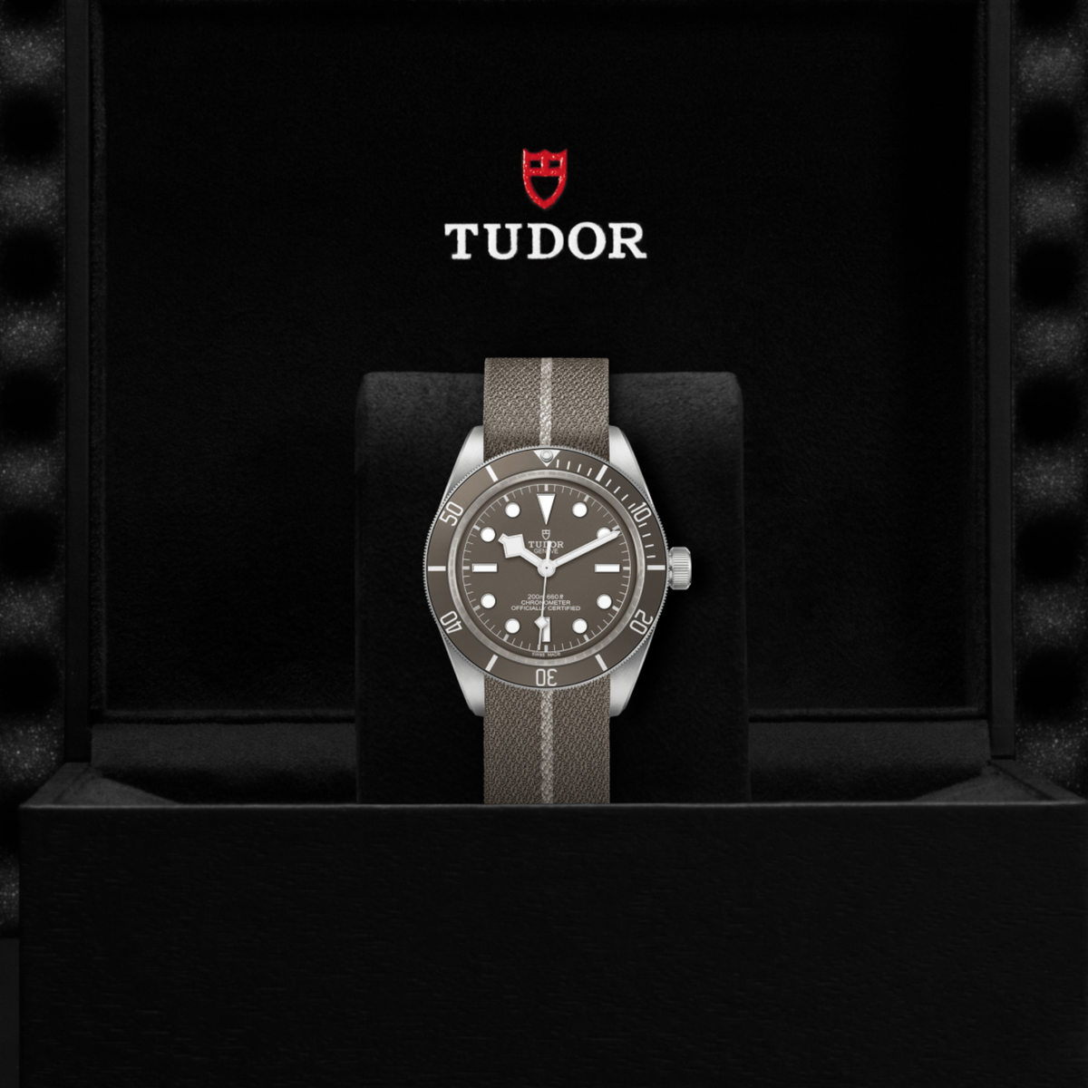 Tudor watch displayed in its presentation box showcasing the premium packaging and interior finish