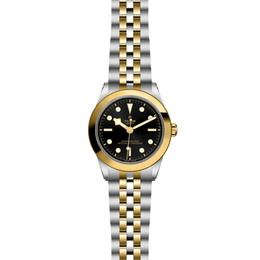 full view of Tudor Black Bay One watch showing the full two-tone bracelet and balanced case proportions