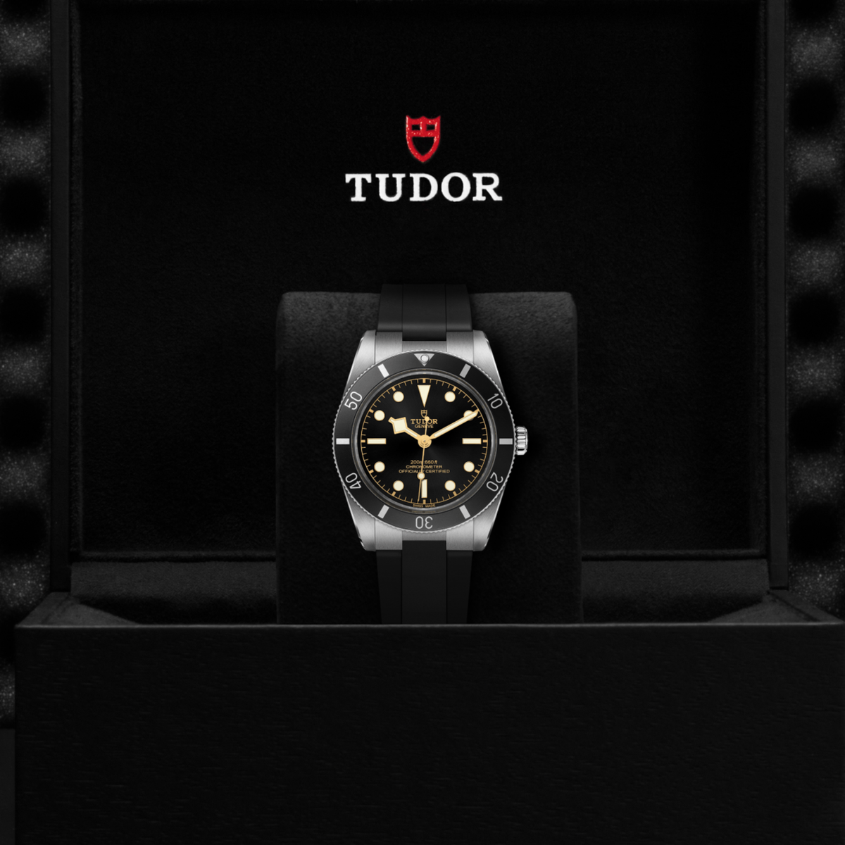 Tudor watch displayed in its presentation box showcasing the premium packaging and interior finish