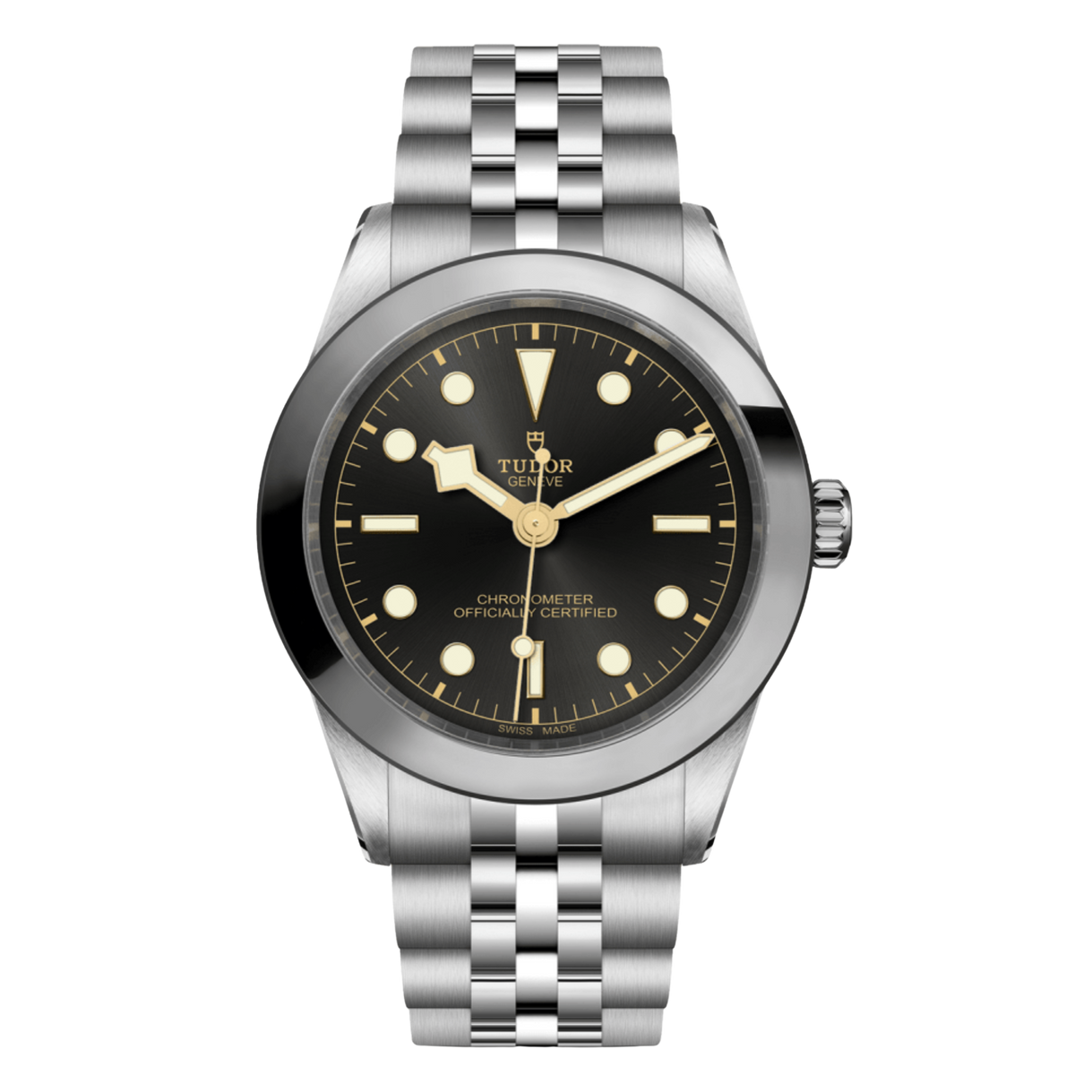 Stainless steel Tudor Black Bay 39 with black dial and stainless steel bezel.