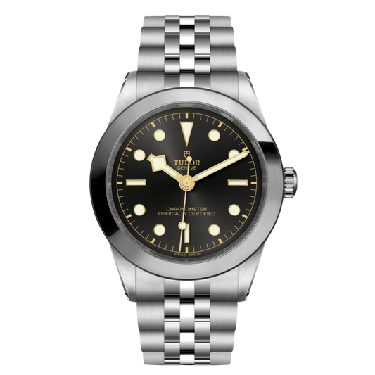 Stainless steel Tudor Black Bay 39 with black dial and stainless steel bezel.