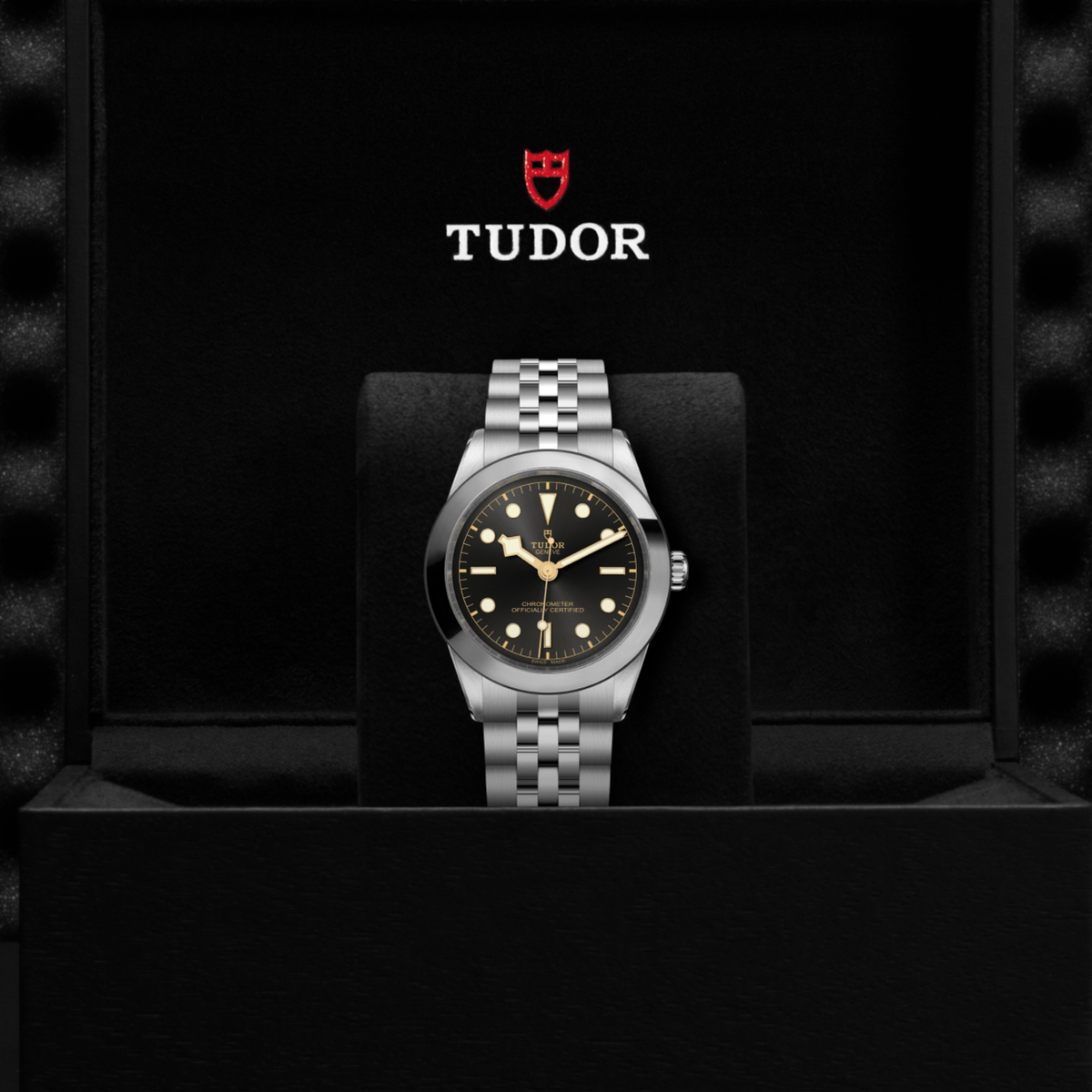 TUDOR Black Bay 39 Stainless Steel Anthracite Dial Watch