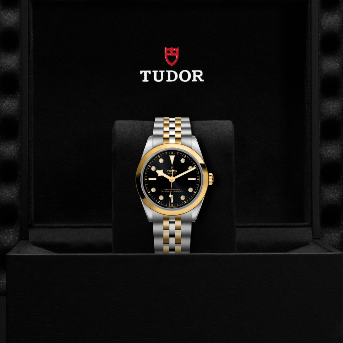 A robust automatic watch that blends performance with elegance.