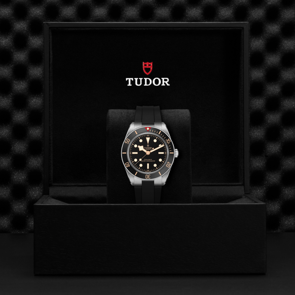 Tudor watch in a black box with Tudor logo on a dark textured background
