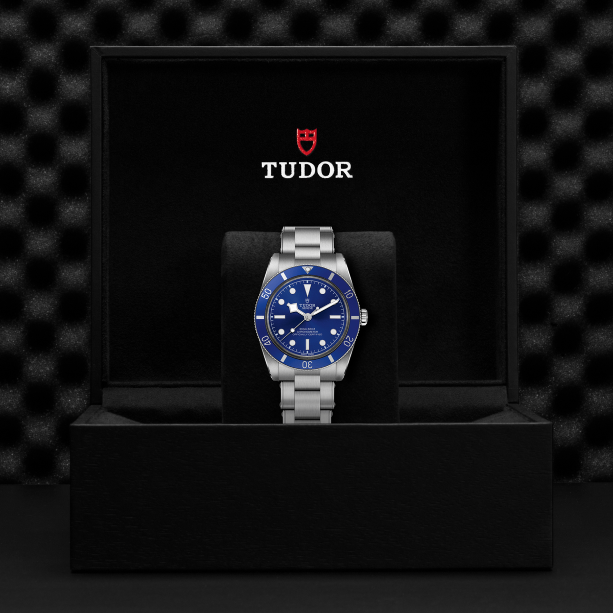 back of Tudor automatic dive watch and stainless steel bracelet with clasp detail
