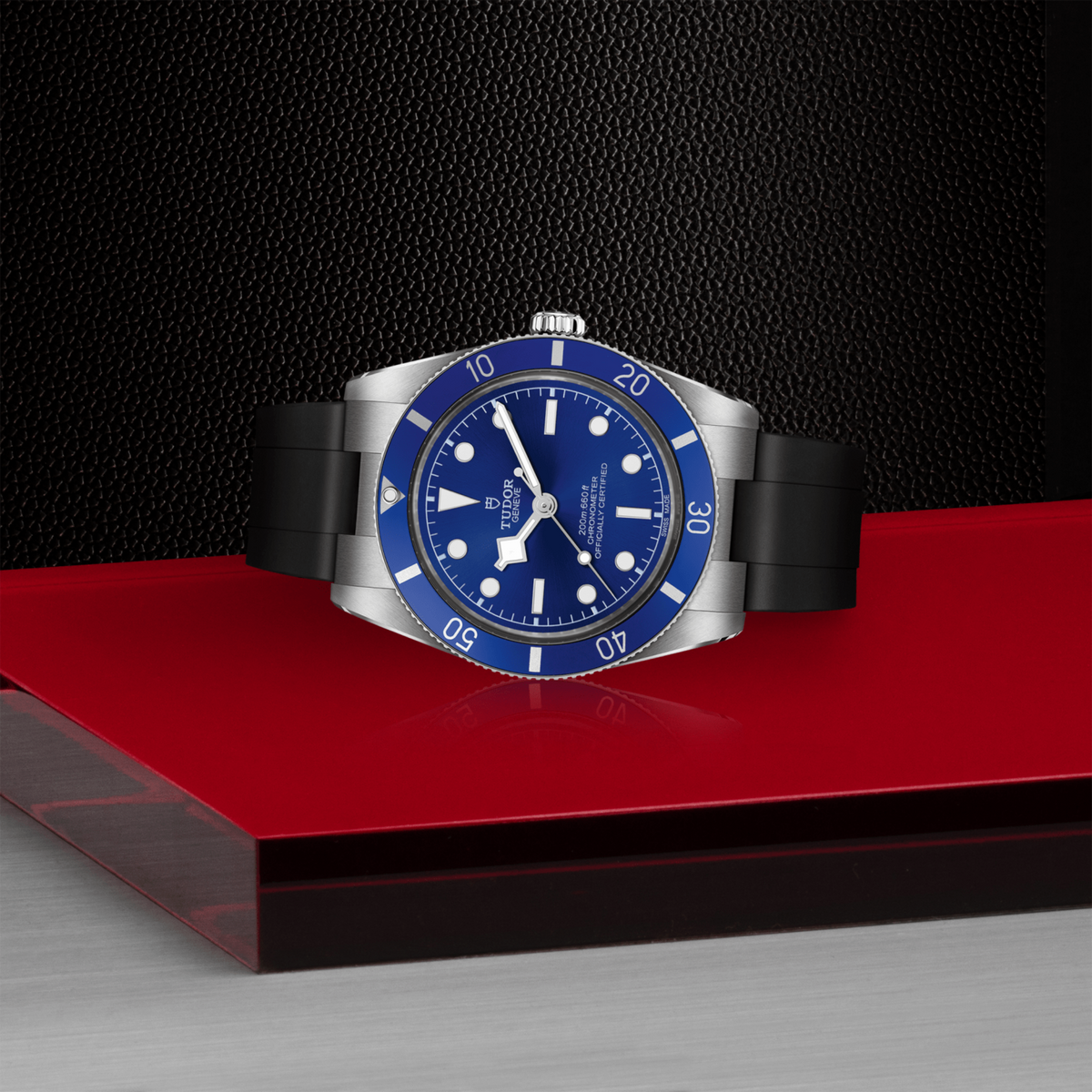 back of Tudor automatic dive watch and black rubber strap with fastening detail
