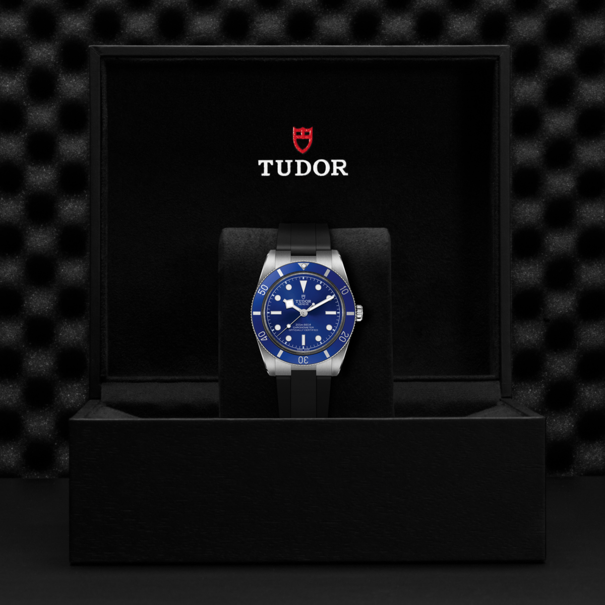 Tudor watch in a black display case with a checkered pattern background