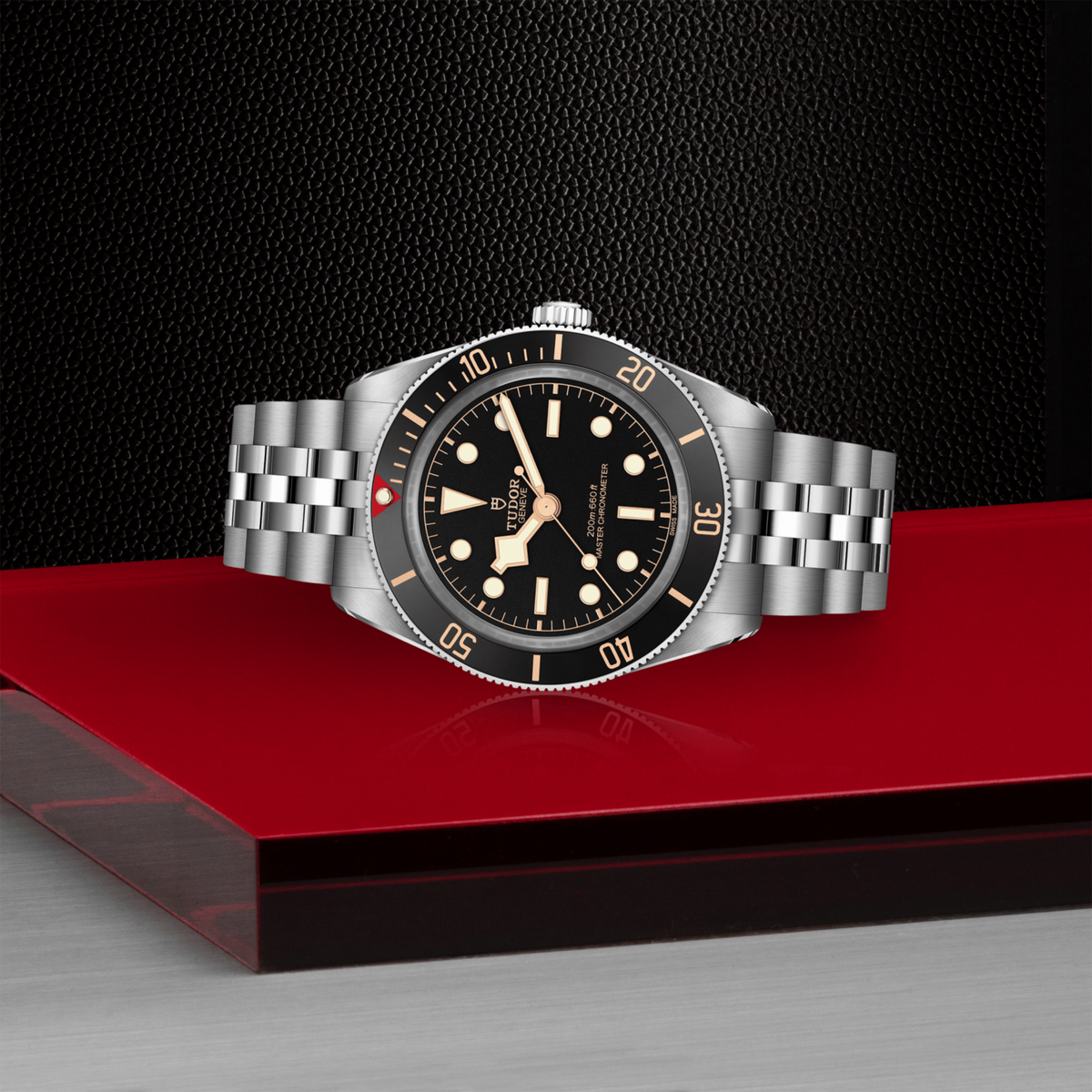 side view of Tudor Black Bay watch case, crown and brushed stainless steel profile with unidirectional dive bezel detail
