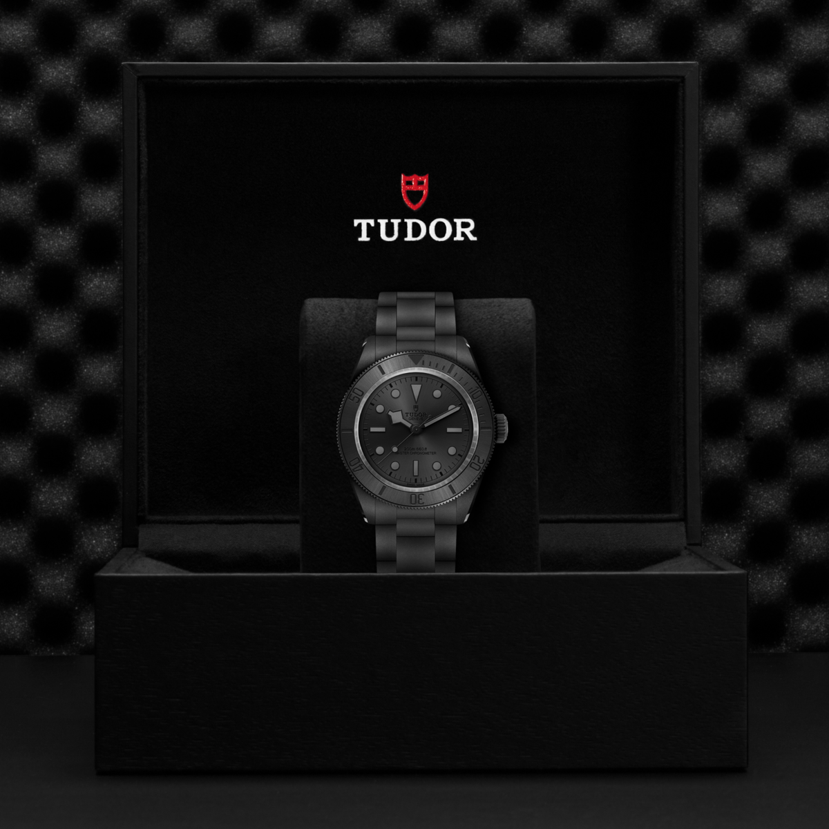 Confident, contemporary and effortlessly versatile, this TUDOR Black Bay Ceramic brings together innovative materials, Swiss craftsmanship and a sleek all-black finish.