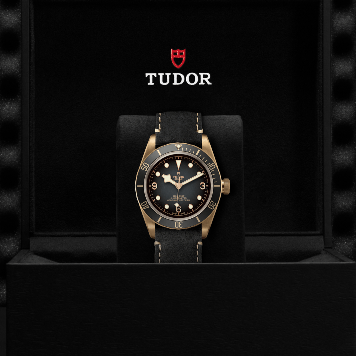 Tudor watch displayed in its presentation box showcasing the premium packaging and interior finish