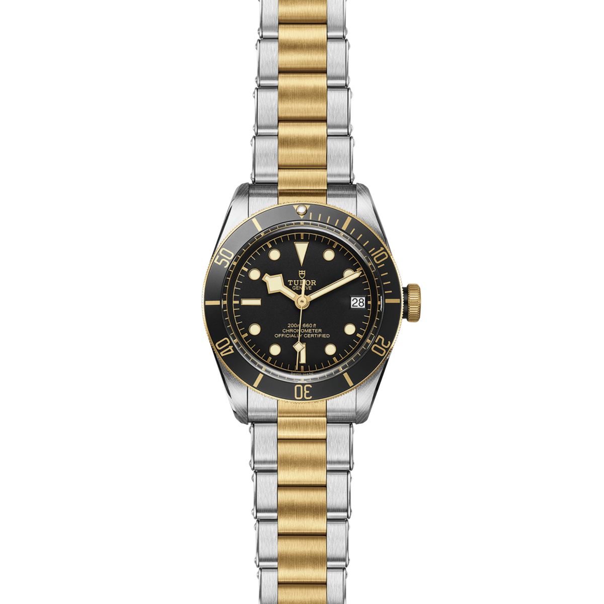 full view of Tudor Black Bay watch showing the full two-tone bracelet and robust case profile
