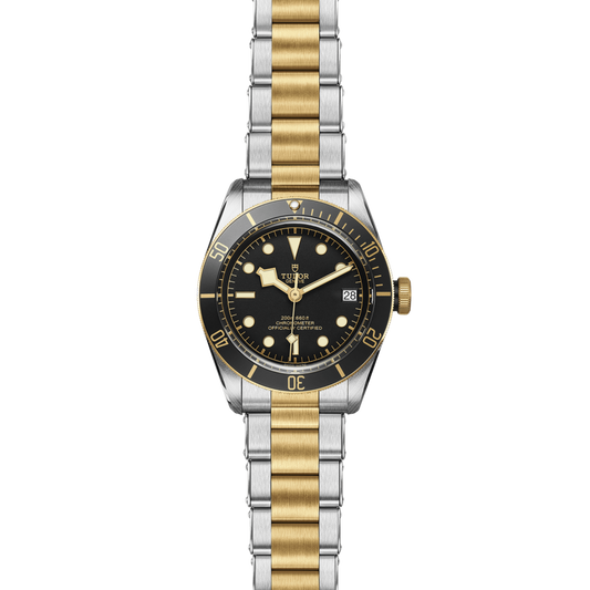 full view of Tudor Black Bay watch showing the full two-tone bracelet and robust case profile
