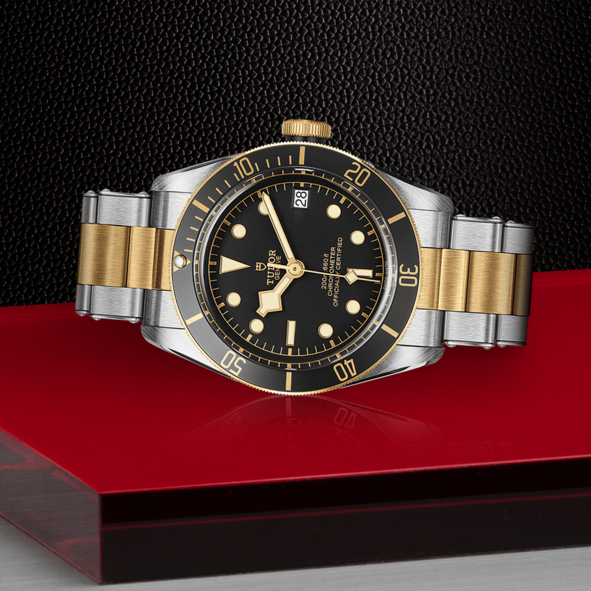 Tudor Black Bay watch positioned on its side highlighting the case thickness, rotating bezel and screw-down crown