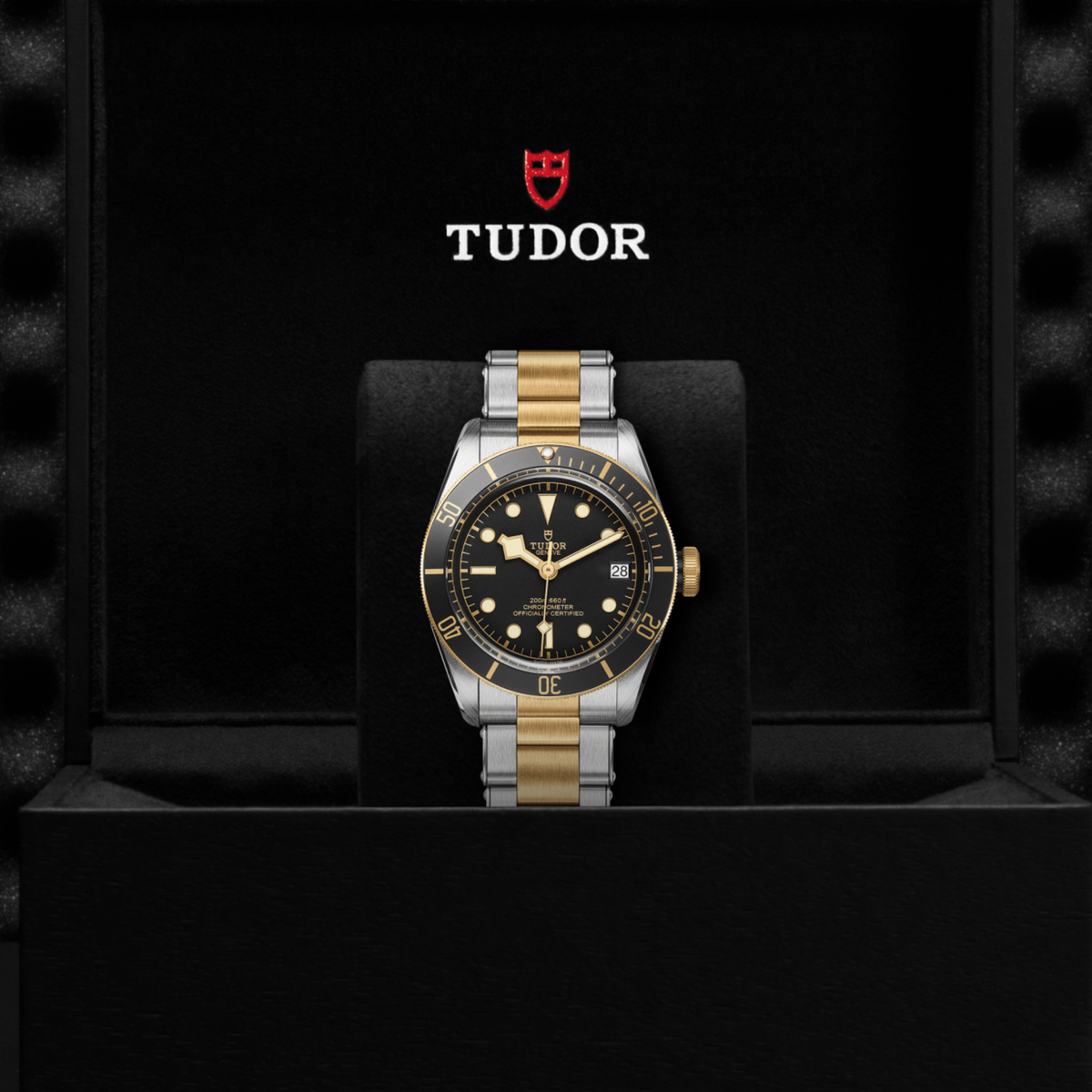 Tudor Black Bay watch displayed in its presentation box showcasing the premium packaging and interior finish