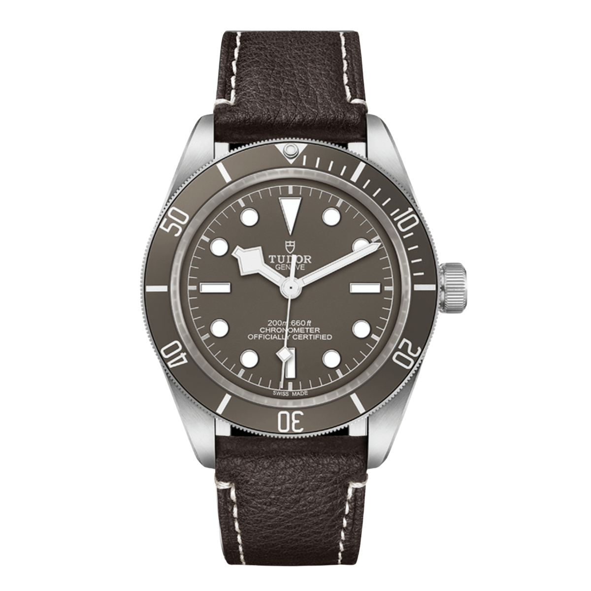 Tudor stainless steel dive watch with taupe dial, luminous hour markers and matching unidirectional bezel on brown leather strap.