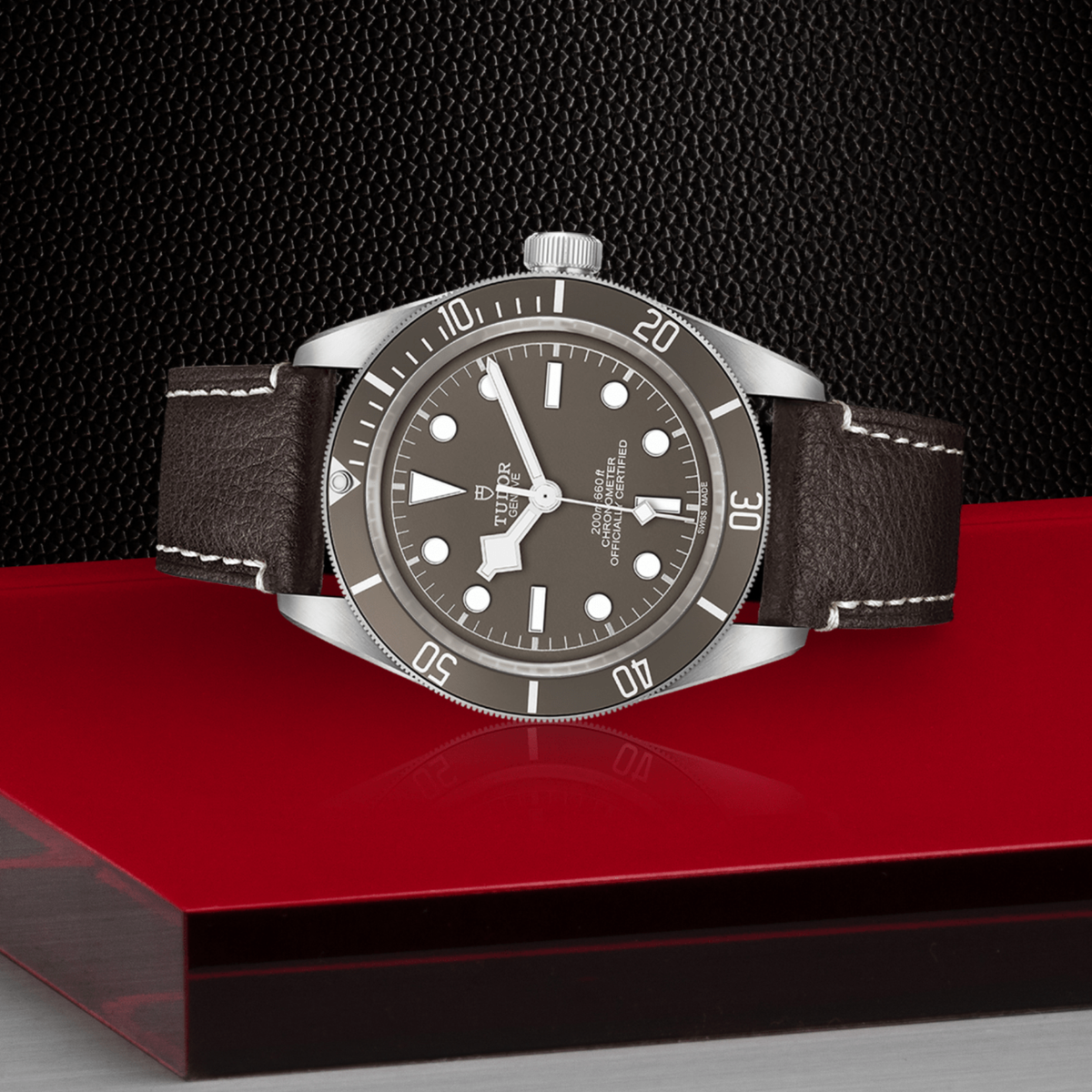 Tudor watch displayed in its presentation box showcasing the premium packaging and interior finish