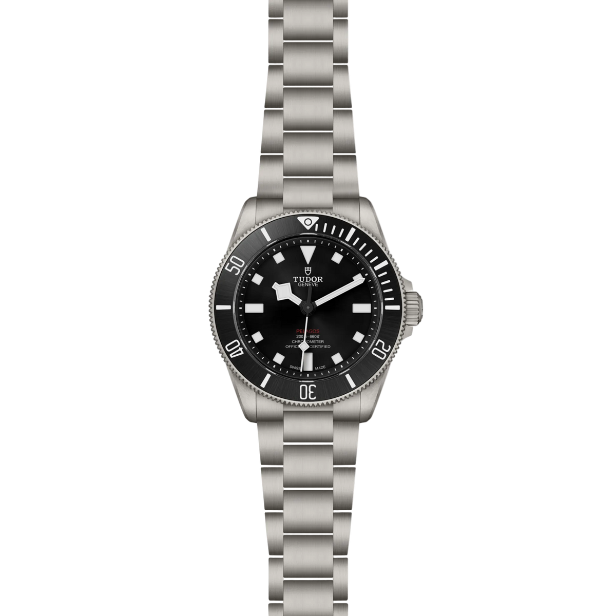full view of Tudor Pelagos showing the entire titanium bracelet and overall watch proportions