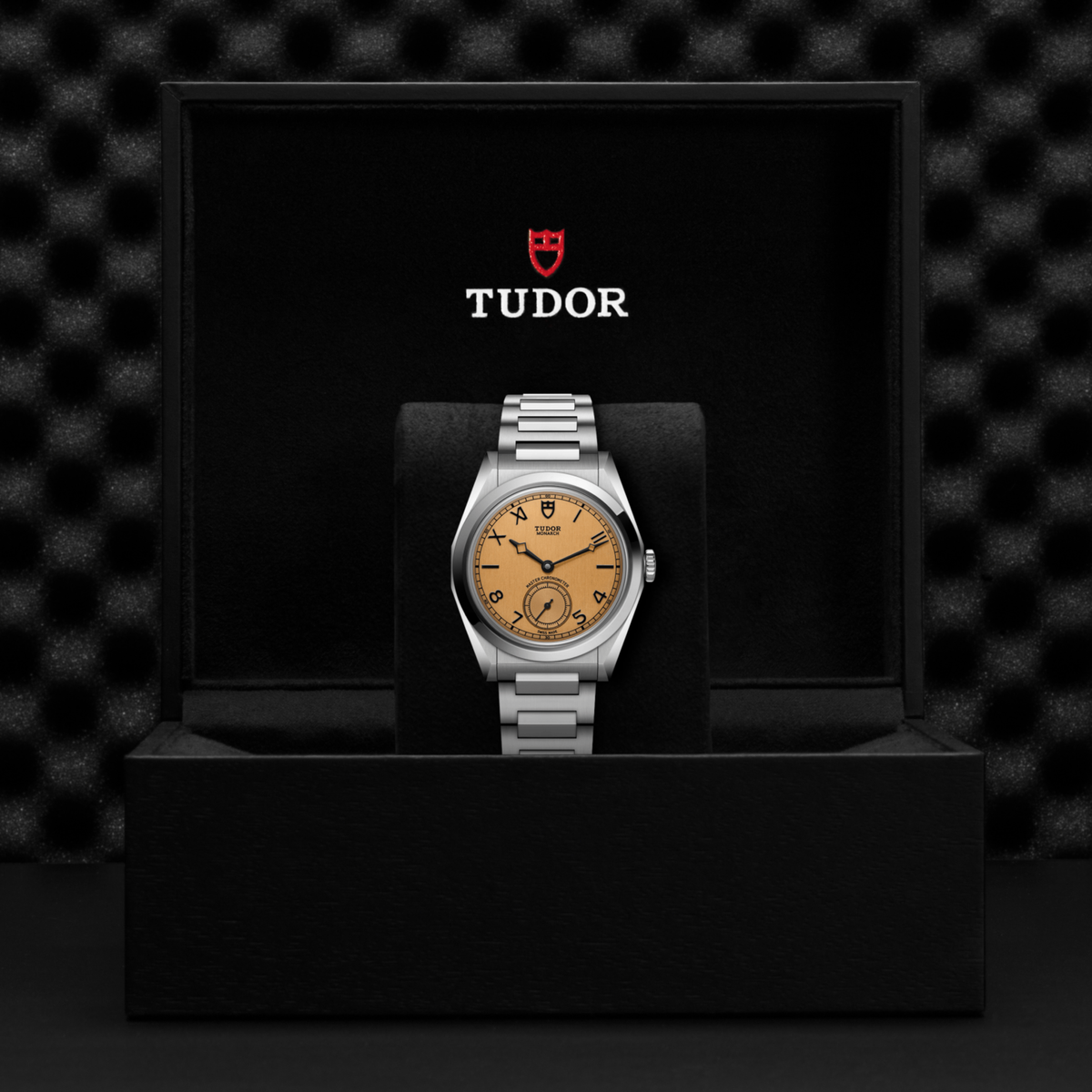 Tudor watch in a black display case with a checkered pattern background