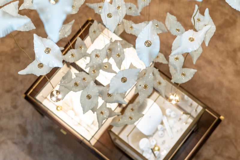 Showroom image