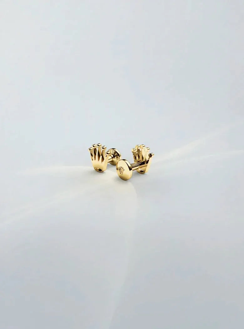 Rolex accessories