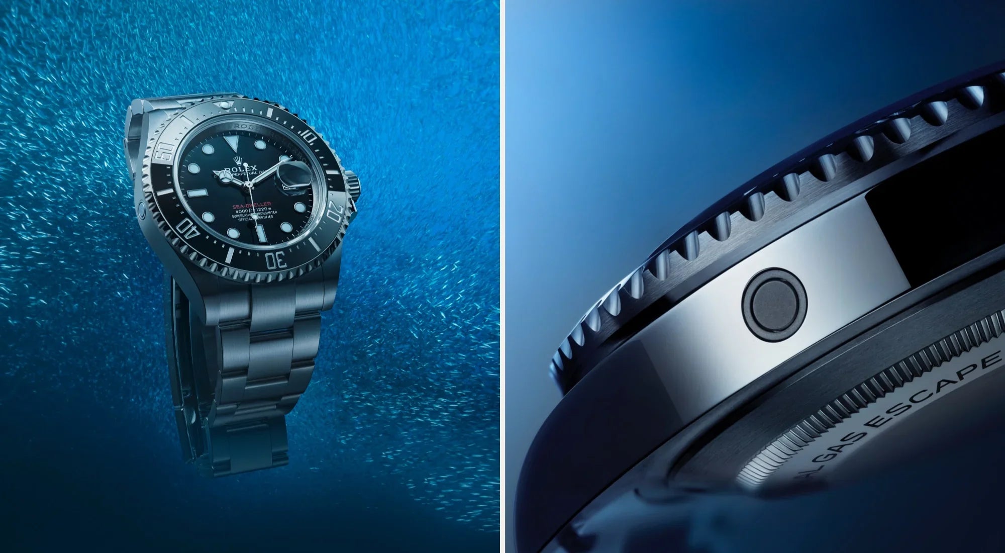 The new face of diving